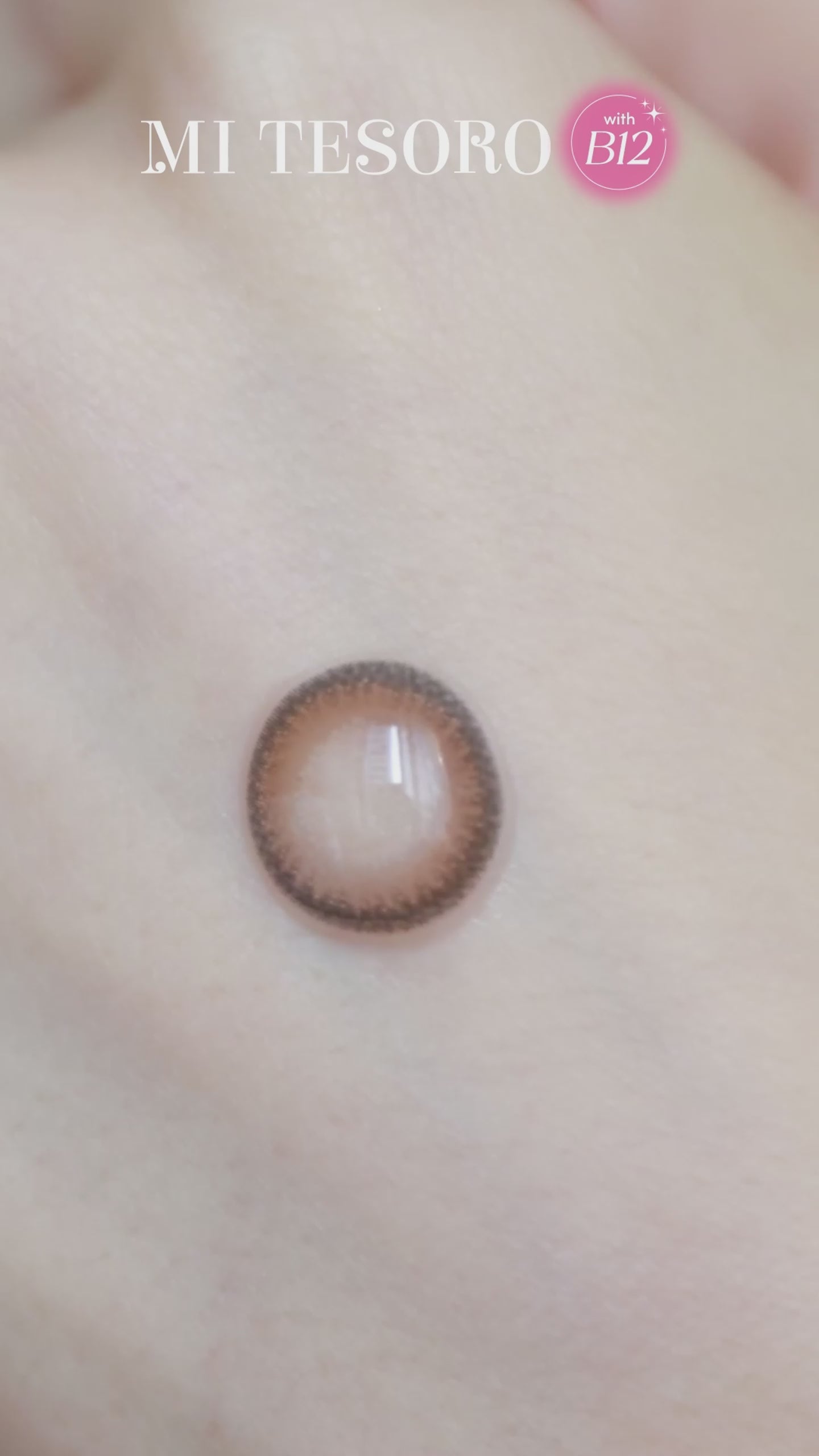 Truffle Choco-Mi Tesoro Monthly Color Con 2pcs  (Eff dia:15mm)