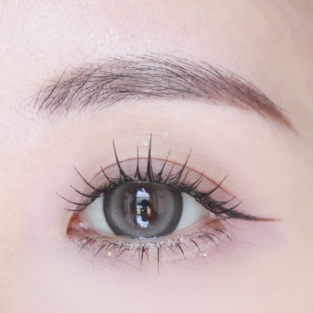 Sesame Grey-Mi Tesoro 1 Day Color Con 10pcs (Eff dia:16mm)