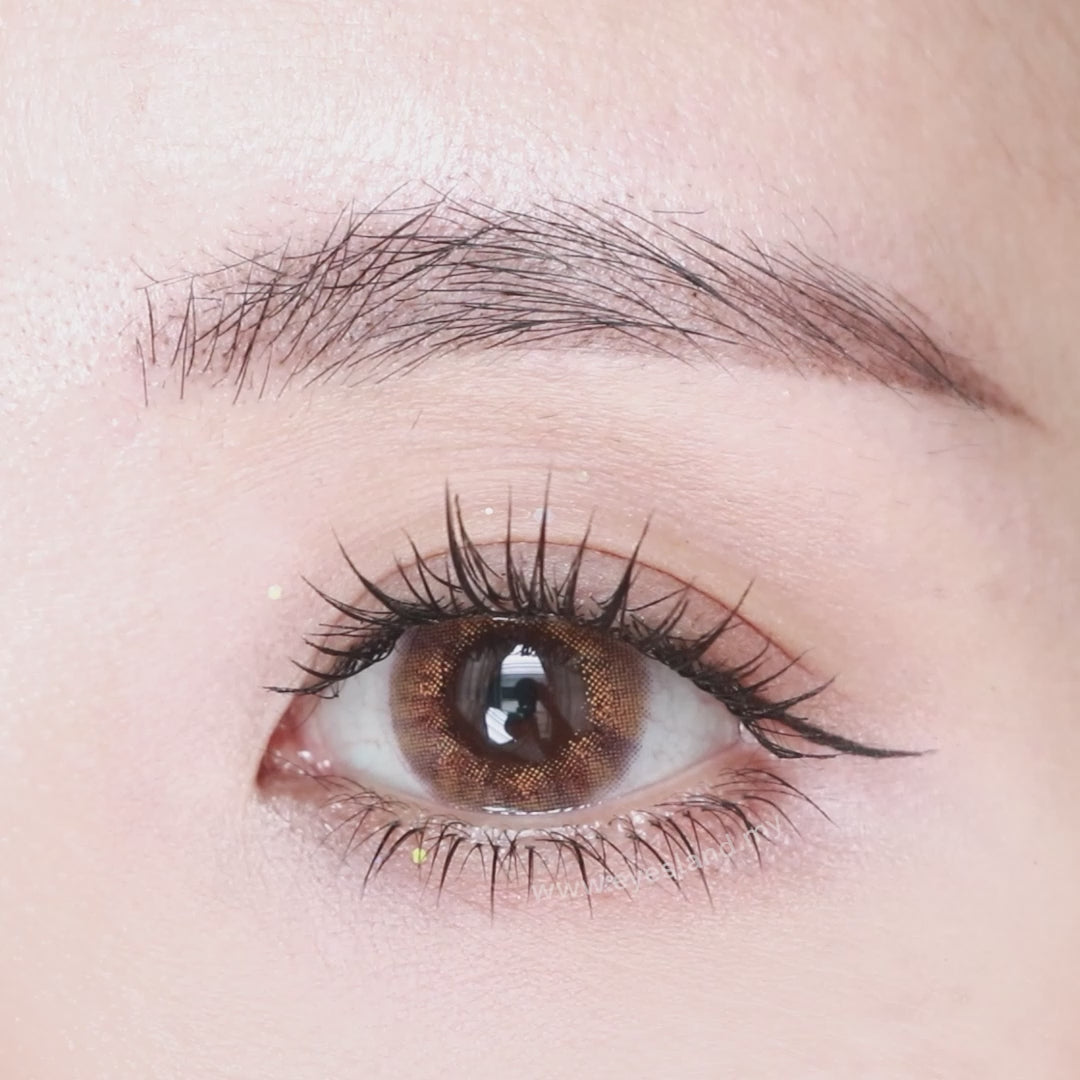 Fashion Rose-Star Shine 1 Day Color Contact Lenses 10pcs (Eff dia:14.5mm)