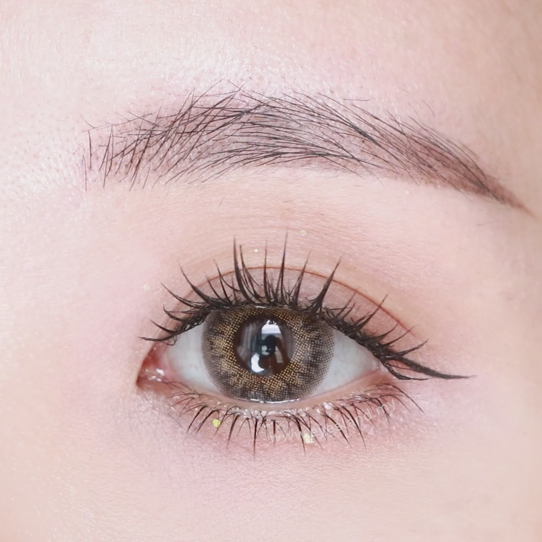 Fashion Brown-Star Shine 1 Day Color Contact Lenses 10pcs (Eff dia:14.5mm)