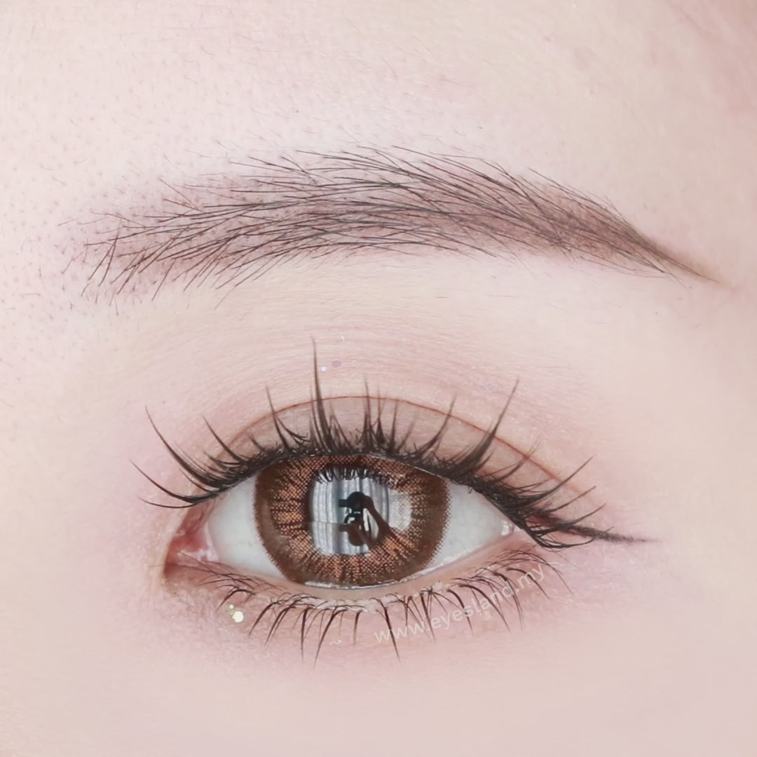 My Honey-Mi Tesoro 1 Day Color Con 10pcs (Eff dia:15mm)