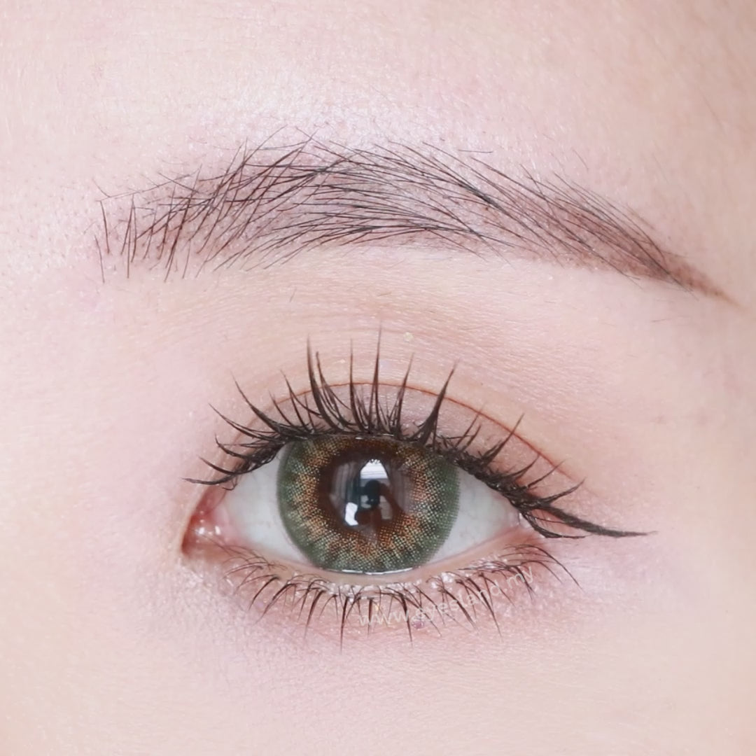 Vogue Forest-Star Shine 1 Day Color Contact Lenses 10pcs (Eff dia:15mm)