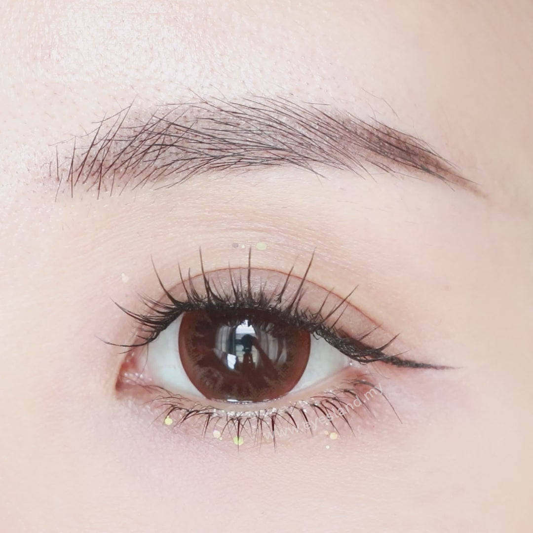 True Brown-Eye Secret 38% 1 Day Color Lenses 10pcs (Eff dia:16mm)